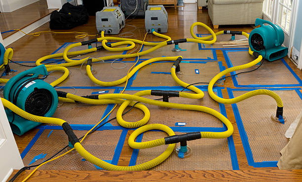 Professional Basement Flood Cleanup technician working in Westminster, MA